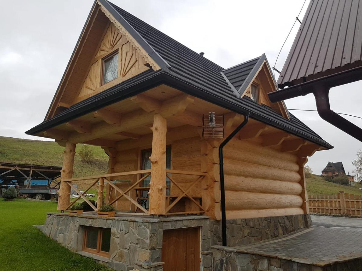 U Garczkow Villa Witow  Bagian luar foto