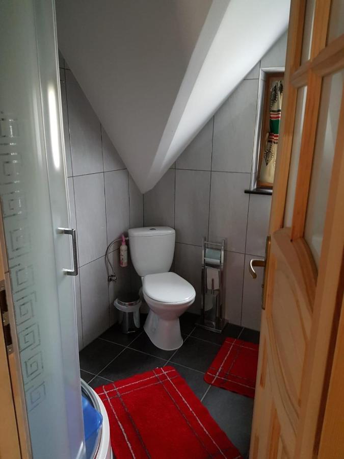 U Garczkow Villa Witow  Bagian luar foto